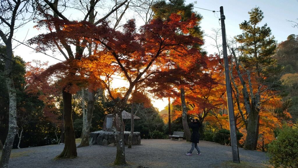 Erin Hanson at the Tenryu-ji Temple