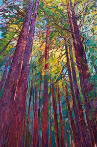 Painting Redwoods