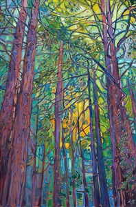 Painting Redwood Dawn