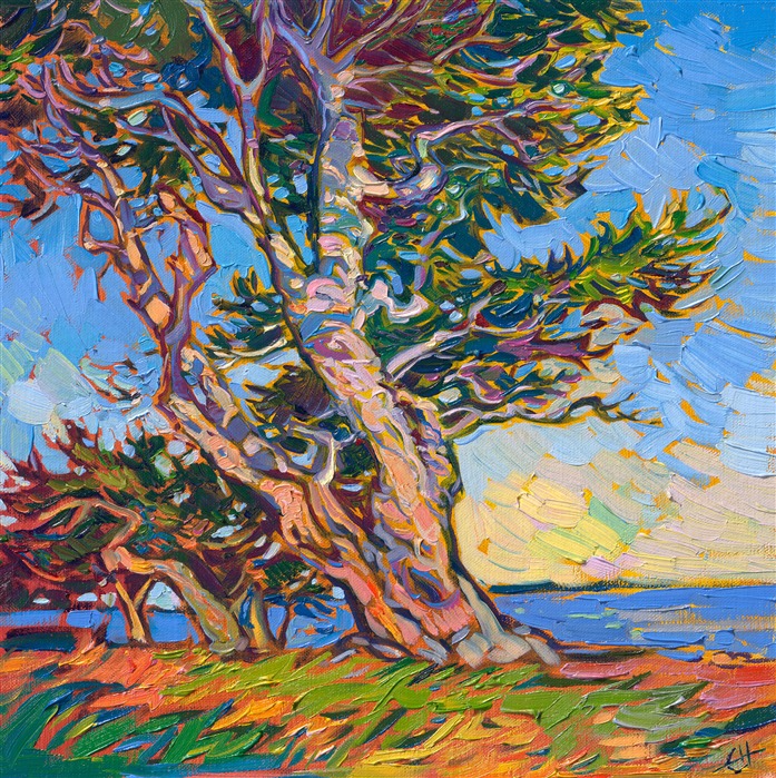 Cypress Tree original oil painting of Monterey California coast by abstract impressionism painter Erin Hanson