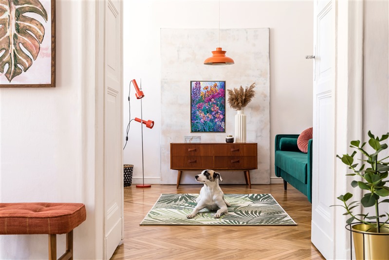 How to decorate with colorful artwork.