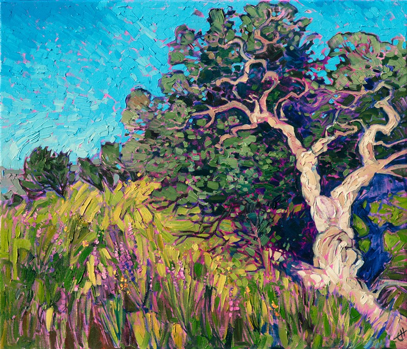 Apline Texas landscape oil painting of twisted oak trees, by Erin Hanson, exhibited at The Museum of the Big Bend.