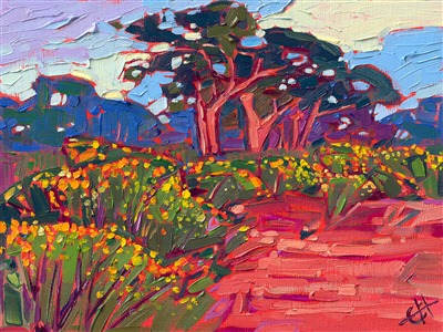 Painting Torrey Pine Blooms