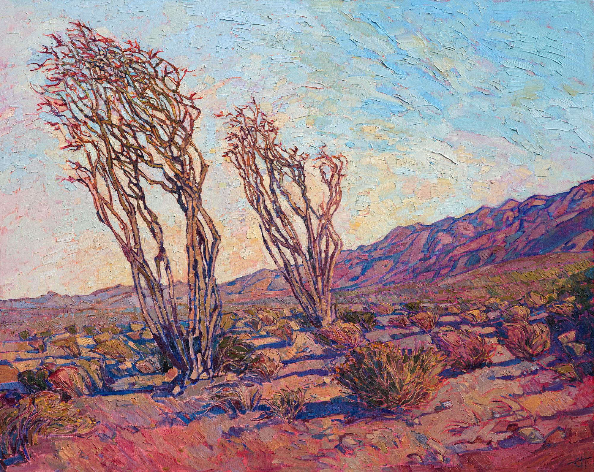 Ocotillo Light: An In-Depth Look