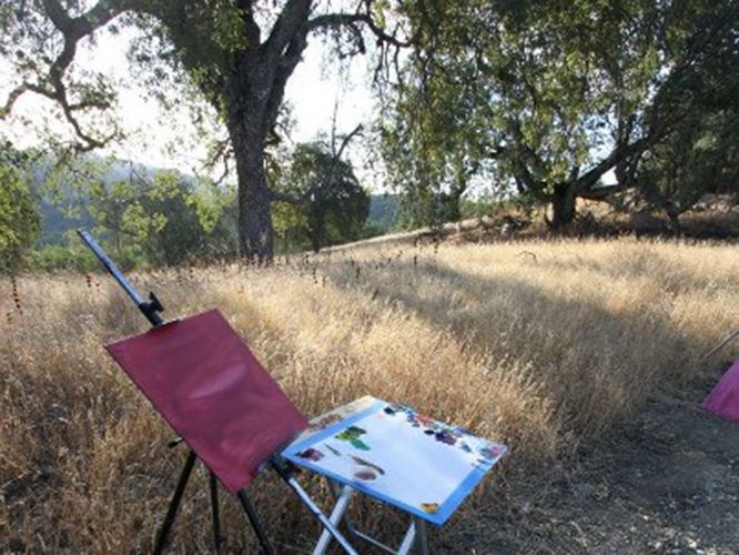 Erin Hanson Painting Plein Air