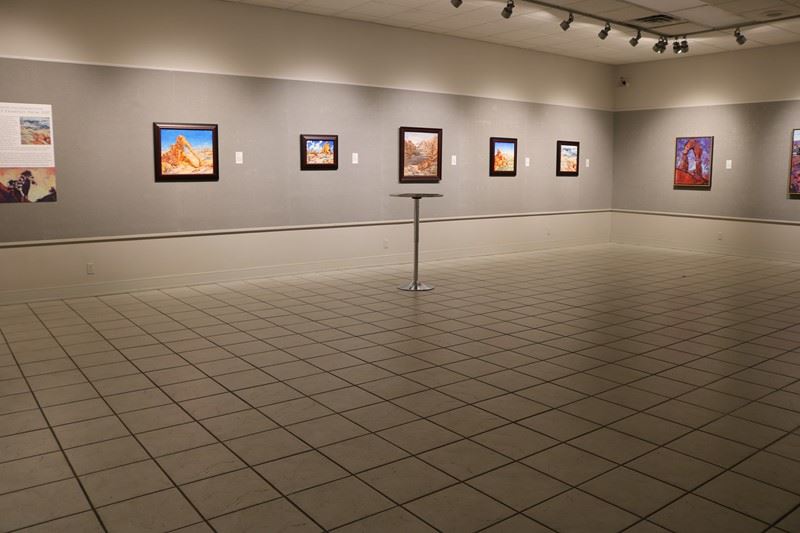 Erin Hanson speaking at an exhibition 7/7