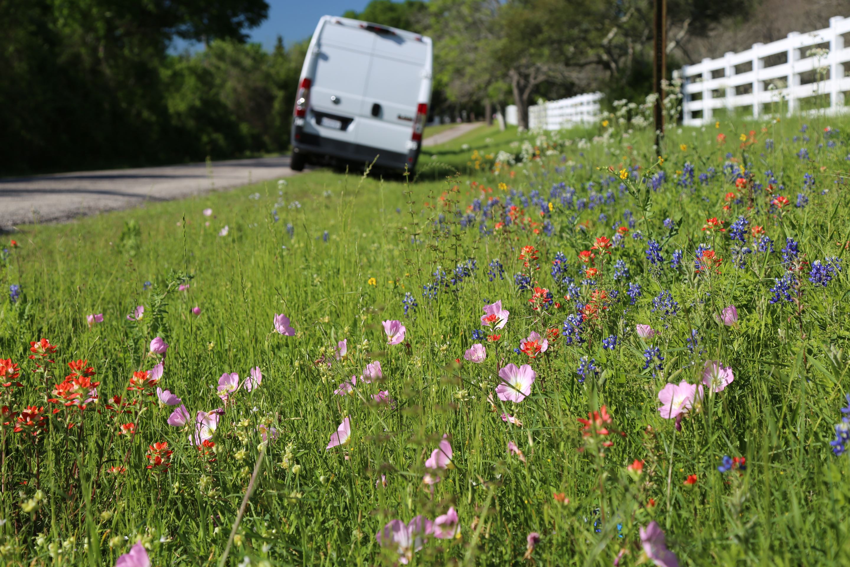 Erin Hanson's adventure van