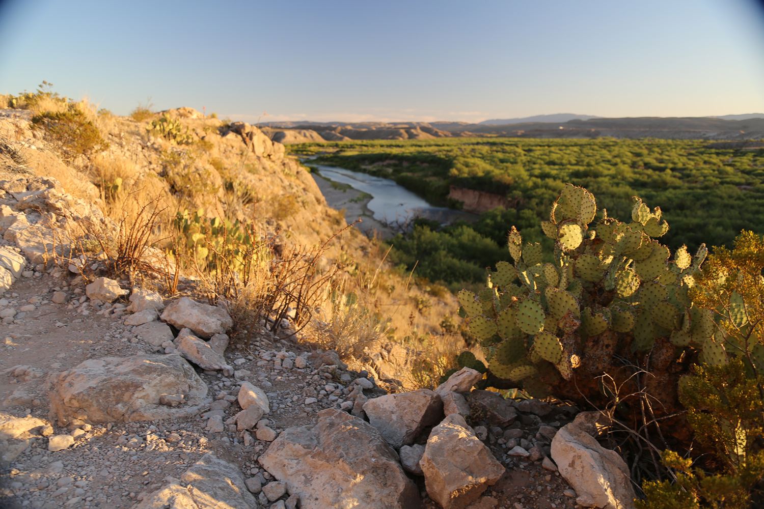 Desert landscape inspiration