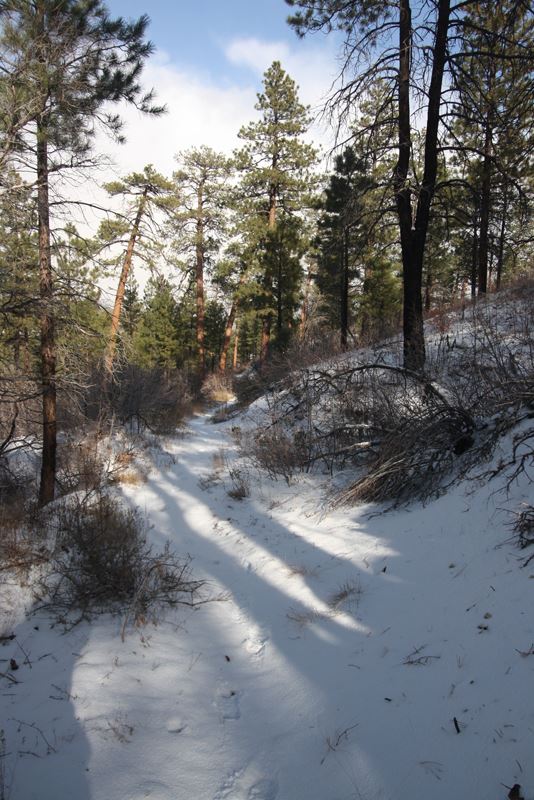 Snowfall on the west rim